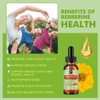 B Beworth Premium Berberine Liquid Drops with Turmeric, Bitter Melon, Milk Thistle & Ceylon Cinnamon - 60ml - 3 of 4