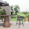 HomeRoots 39" Dark Gray Metal Swivel Low back Outdoor Bar Height chair with Footrest - 2 of 4