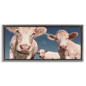 Stupell Industries Three White Cows, 25" x 11" - 1 of 4