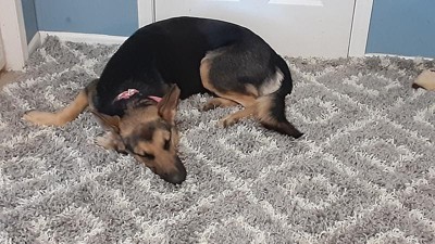 Guest review image 1 of 3, zoom in