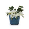 Set of 3 Modern Round Ceramic Planter Pots with Drainage Hole, Ceramic Flower Pots for Windowsills, Patio, or Garden–The Pop Home - 2 of 4