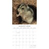 2026 Square Wall Calendar, Hamsters, 16-Month Animals Theme with 180 Reminder Stickers (12x12 In) - 3 of 4