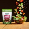 Orchard Valley Harvest Glazed Pecans Salad Toppers - 3.5oz - image 2 of 4