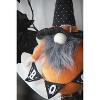 Gulches Decor: Lanterns, Ornaments, Pumpkins, Gnomes & Banners for Festive Indoor/Outdoor Decor - 3 of 4
