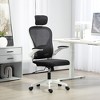 HOMCOM Ergonomic Office Chair with Flip-up Armrest, Adjustable Headrest and Lumbar Support, Mesh Desk Chair for Home Office, Black - 2 of 4
