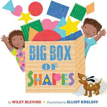 Big Box of Shapes - (Basic Concepts) by  Wiley Blevins (Paperback)