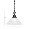 Toltec Lighting Any 1 - Light Pendant in  Matte Black with 12" Italian Bubble Shade - 2 of 2