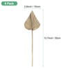 Unique Bargains Dried Natural Boho Palm Leaf Bulk - 3 of 4