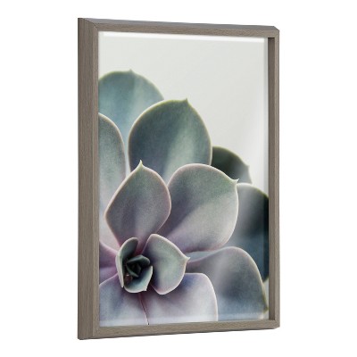 18" x 24" Blake Succulent 5 by Emiko and Mark Franzen of F2 Images Framed Printed Glass Gray - Kate & Laurel All Things Decor