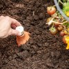 Back to the Roots 16.9 oz Self Watering Terracotta Olla Pot - image 4 of 4