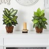 Nearly Natural Dieffenbachia with Wood Vase Artificial Plant (Set of 2), Assorted - 4 of 4