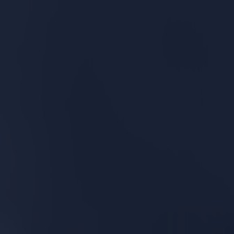 classic navy
