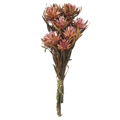 Vickerman all Natural Plumosum Bundle, Female, Preserved