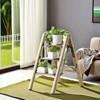 Cesicia Aluminum 3-Step Folding Ladder - 4 of 4