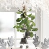 Sullivans 13.5" Artificial Christmas Mistletoe Swag, Green - 2 of 2