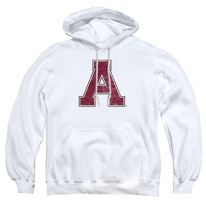 Alma College Official Distressed Primary Logo Adult Pull-Over Hoodie - 1 of 4