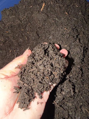 Guest review image 2 of 3, zoom in