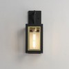 Maxim Lighting Neoclass 1 - Light Wall Light in  Black/Gold - 4 of 4
