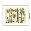 Amanti Art Narcissus in Bloom II by Mark W. Langlois Wood Framed Wall Art Print - 4 of 4