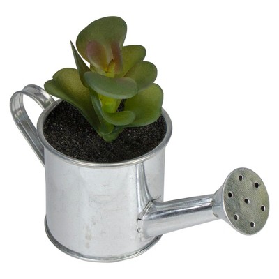 Northlight 4" Tropical Succulent in Water Can Artificial Potted Plant - Green/Silver