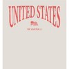 United States of America USA Flag Adult Long Sleeve Hoodie - 2 of 2