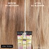 John Frieda Go Blonder Lightening Shampoo, Brighter Hair, Active Ingredients, Take Control of Color - 8.3 fl oz - 3 of 4