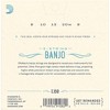 D'Addario EJ60 Nickel 5-String Light Banjo Strings (9-20) - 2 of 4