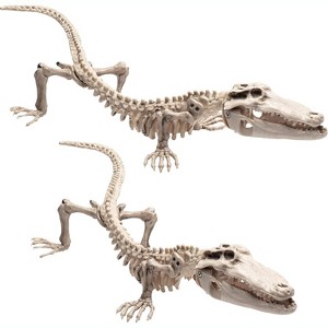SCS Direct Crocodile Skeleton Decor (2 Pk) 20" Long - Weather Resistant for Indoor Outdoor Use- Animal Decor for Classrooms, Science & More - 1 of 4