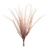 Melrose Grass Plume Bundle (Set of 6) - 3 of 3