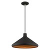 Livex Lighting Metal Shade 1 - Light Chandelier in  Black - 4 of 4