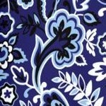 navy pretty paisley