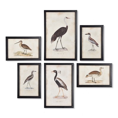 Plum & Post Waterfowl Gallery, Set Of 6