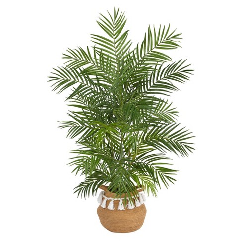 Nearly Natural 5 ft. Robellini Palm Silk Tree