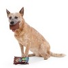 BARK Afraid of the Bark Halloween W & W's Candy Food Shaped Plush Dog Toy - 4 of 4