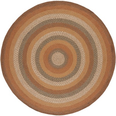 Braided BRD652 Flat Weave Rug - Safavieh