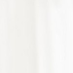 flair polished nickel