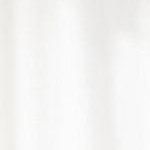 flair polished nickel