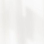 flair polished nickel