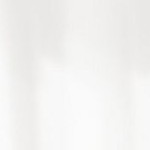 flair polished nickel