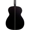 Washburn Deep Forest Ebony FE Acoustic-Electric Guitar Natural Matte - 2 of 4