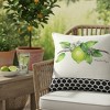 Small Accent Pillow Grove Song Fruit – 12 Inch Design by Manual Woodworkers and Weavers - 3 of 3