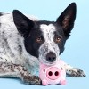 BARK Super Chewer Pig Dog Toy - Hambone - image 2 of 4