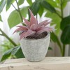 Unique Bargains Artificial Plants Flocked Mini Beak Aloe in Pulp Plastic Red 3.35"x3.35"x3.74" 1 Pcs - 2 of 4