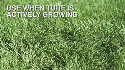 Scotts 32 oz. Multi-Season Liquid Lawn Food for All Grass Types