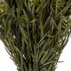 Vickerman 12" Green Salignum, Female, 7 oz Bundle, Preserved - 3 of 4