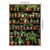 Amanti Art Assorted Succulents 2 by Justyna Jaszke Canvas Wall Art Print Framed - 3 of 4
