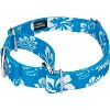 Country Brook Petz Blue Hawaiian Martingale Dog Collar - image 2 of 4