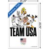 Trends International Looney Tunes x Team USA - Portrait Framed Wall Poster Prints - 3 of 4