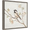 Amanti Art Black Capped Chickadee Vintage by Danhui Nai Canvas Wall Art Print Framed 16-in. x 16-in. - 2 of 4