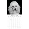 2026 Square Wall Calendar, Dog Portraits, 16-Month Black and White Photos with 180 Reminder Stickers (12x12 In) - 3 of 4